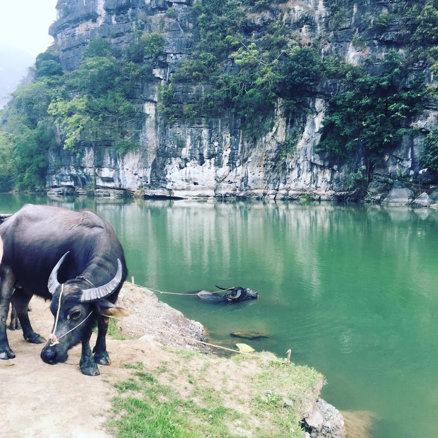 Mai'S Homestay Trang An ニンビン エクステリア 写真