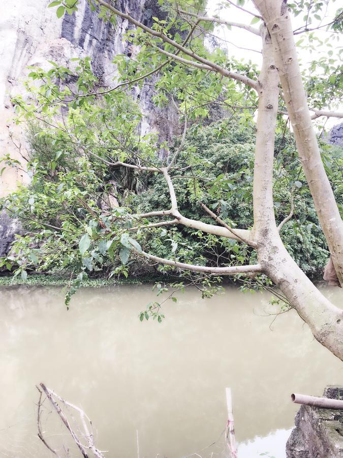 Mai'S Homestay Trang An ニンビン エクステリア 写真