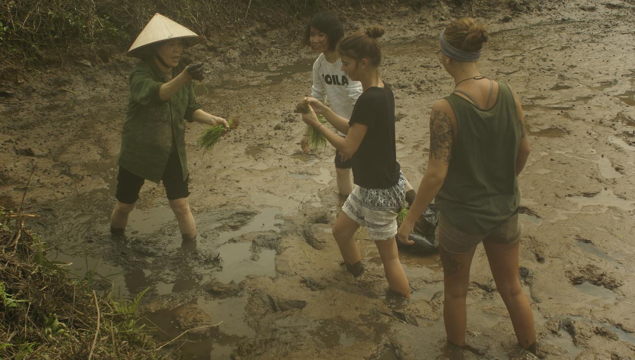 Mai'S Homestay Trang An ニンビン エクステリア 写真