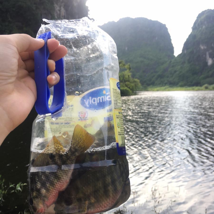 Mai'S Homestay Trang An ニンビン エクステリア 写真