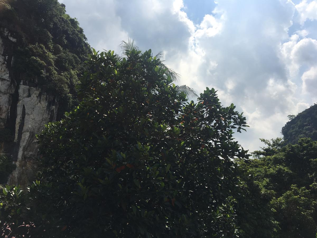 Mai'S Homestay Trang An ニンビン エクステリア 写真