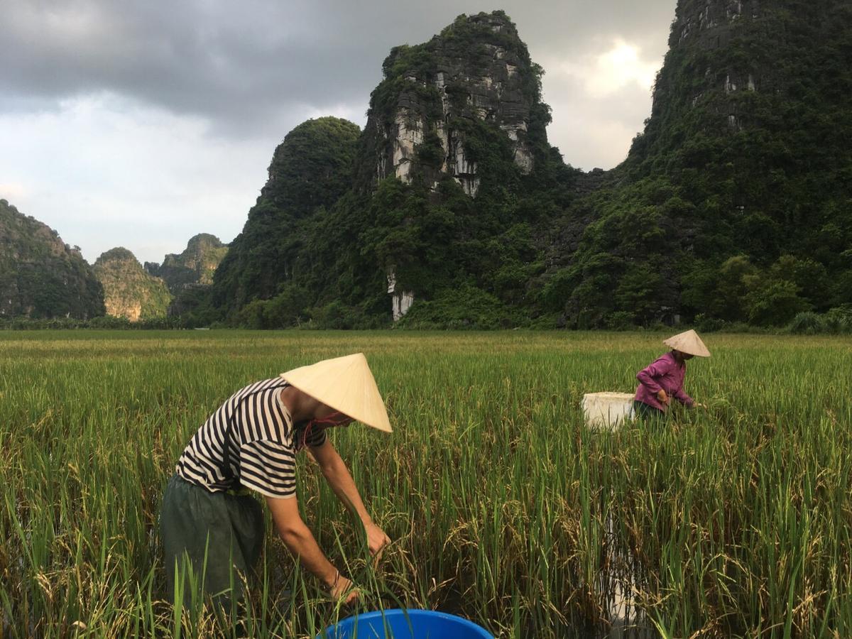 Mai'S Homestay Trang An ニンビン エクステリア 写真
