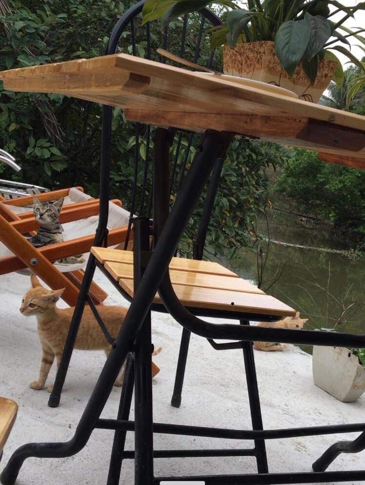 Mai'S Homestay Trang An ニンビン エクステリア 写真