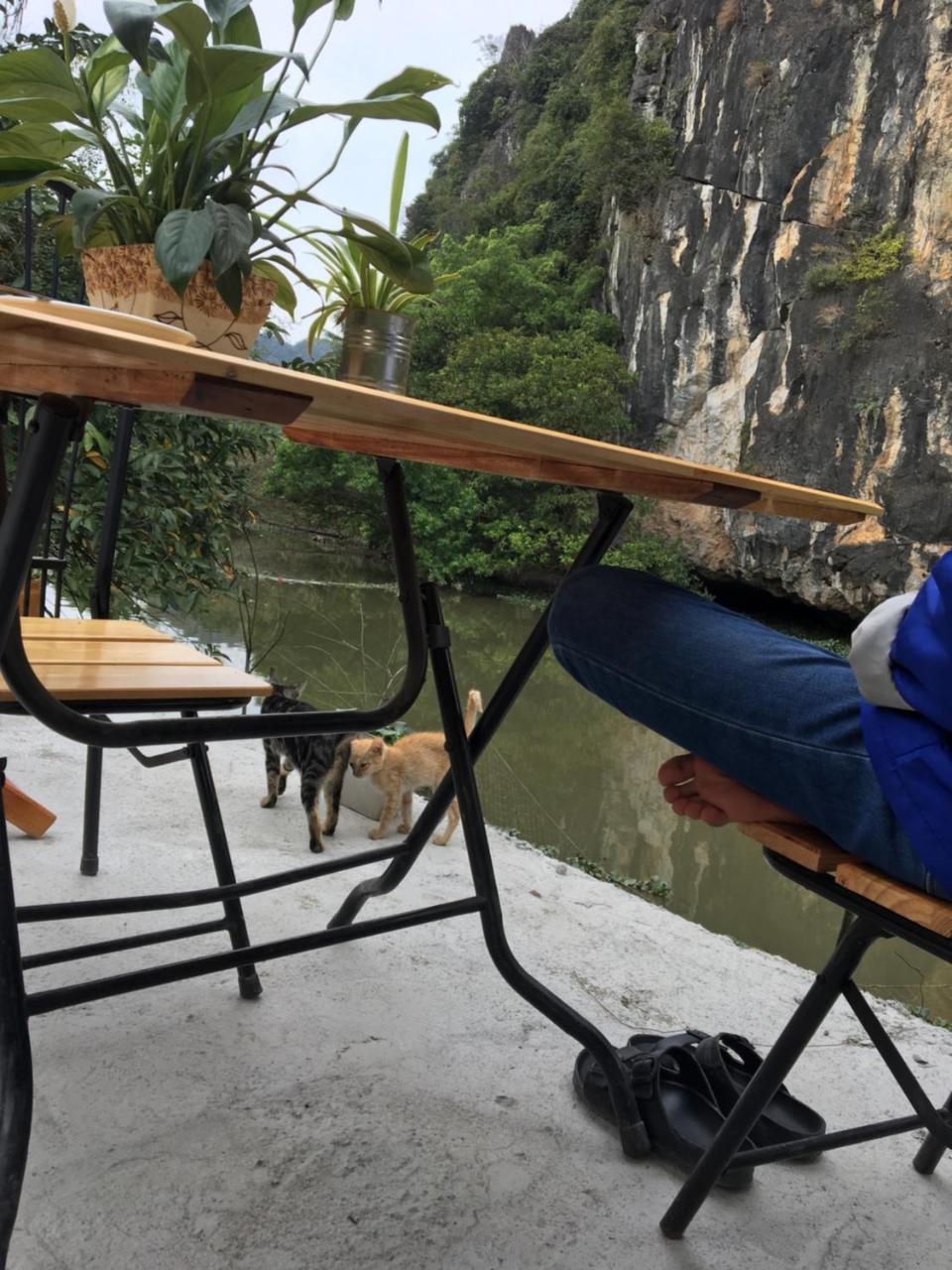 Mai'S Homestay Trang An ニンビン エクステリア 写真
