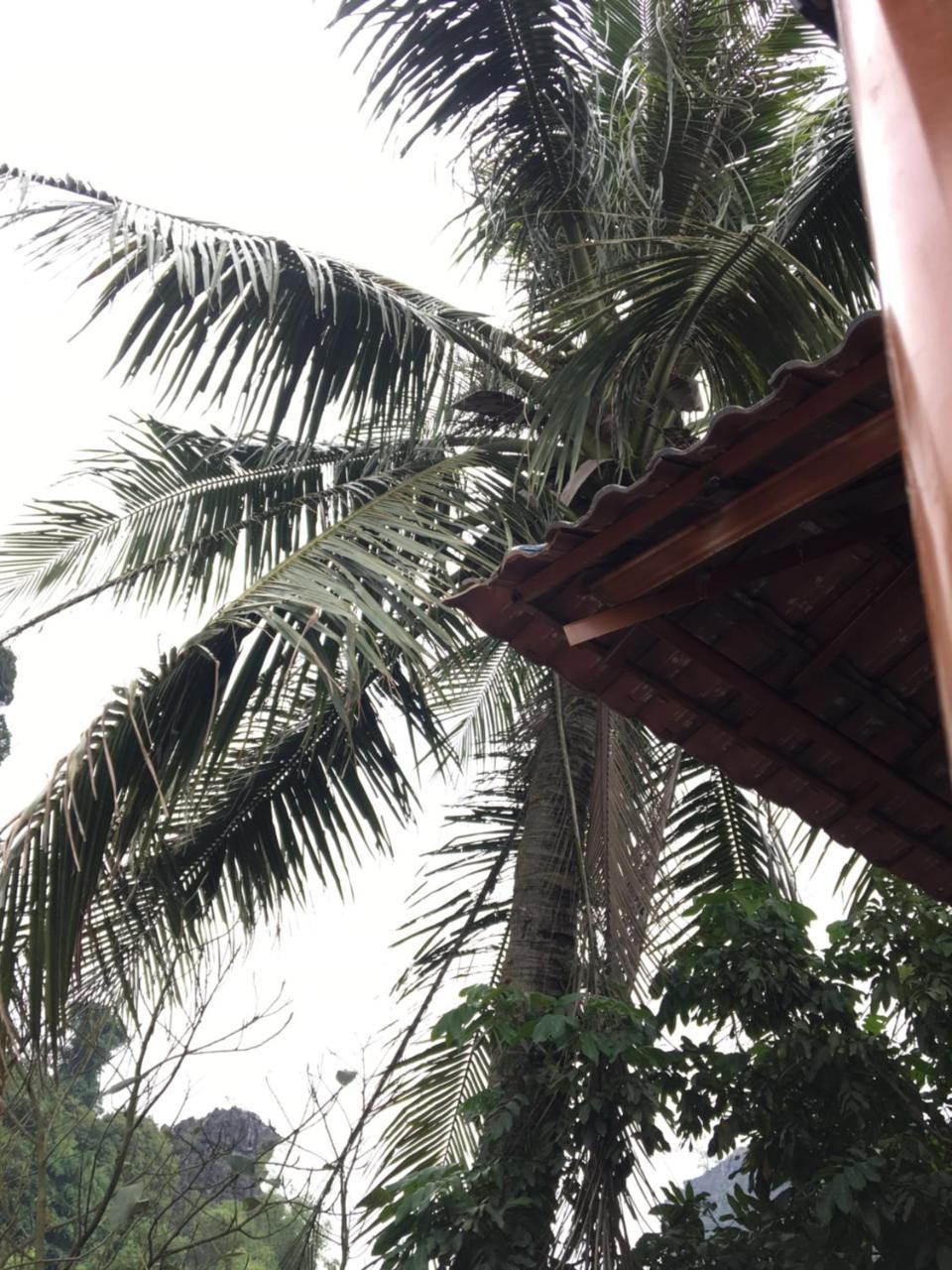 Mai'S Homestay Trang An ニンビン エクステリア 写真